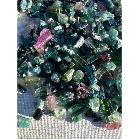 Tourmaline Crystals in Jar - 72 grams / 360 carats - Picture 8 of 10